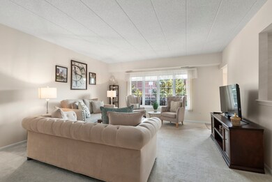 13097 Laurel Glen Ct unit 202, Palos Heights, IL 60463 - photo 3