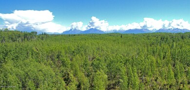 2940 S Knollwood Dr, Big Lake, AK 99654 - photo 7