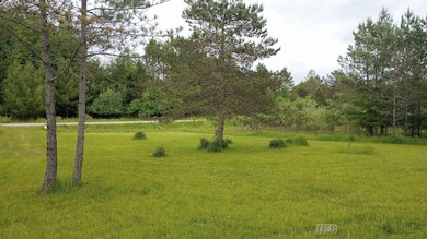 5403 Knights Way unit Lot 34 Knights Way, Butman Township, MI 48624 - photo 3