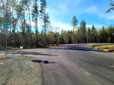 20210427_171933 - Copy (2)