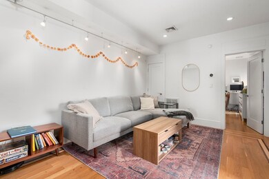 250 C St unit 2, Boston, MA 02127 - photo 6