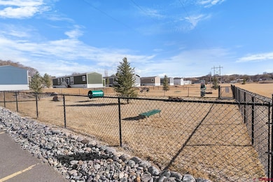 62650 Lasalle Rd unit 811, Montrose, CO 81401 - photo 7