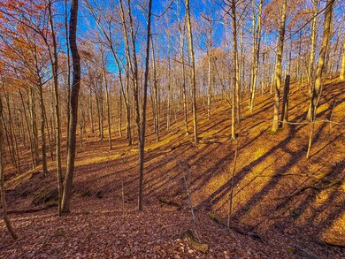 0 Oak Grove Rd, Waverly, WV 26184 - photo 6