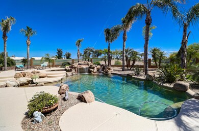 Backyard Oasis