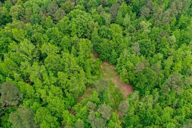 0000 Cantrell Rd, Amity, AR 71921 - photo 6