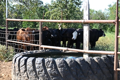 28714 E Nn Hwy, Sheldon, MO 64784 - photo 6