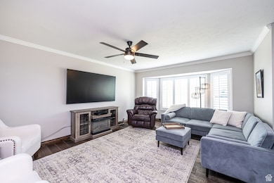 Living area with crown molding, dark wood-type flooring, a ceiling fan, and a textured ceiling