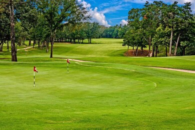 Lot 23 Dublin Cir, Gordonville, TX 76245 - photo 4