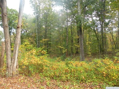 0 Cold Spring Rd unit 129301, Milan, NY 12571 - photo 5