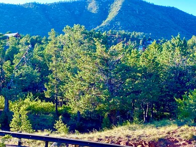 Cypress Hills Lots 17 & 18 --, Pine, AZ 85544 - photo 3