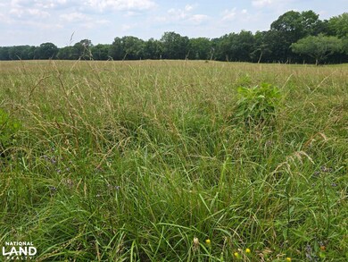 0 State Hwy 21, Sycamore, AL 35149 - photo 4