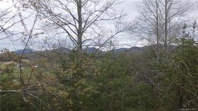 17 Chapel Hill Place unit 38, Leicester, NC 28748 - photo 3