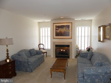 4600 Alcott Way unit 101, Owings Mills, MD 21117 - photo 4