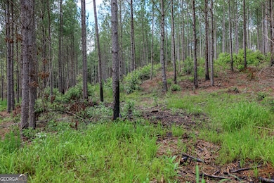 0 Moores Store Rd, Richland, GA 31825 - photo 5