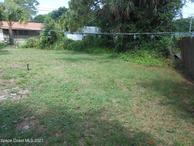 Big Back Yard