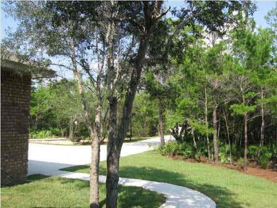 view from front door to street - you don't even see the street!!