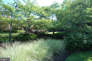 2437 13th Ct N, Arlington, VA 22201 - photo 2