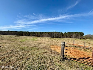 00002 Johnson Line Rd, Bolton, MS 39041 - photo 6