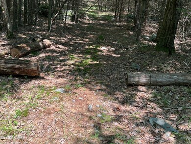 0 Weber Rd, Milford, PA 18337 - photo 6