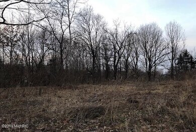 4933 Olive Branch Rd, Three Oaks, MI 49128 - photo 2