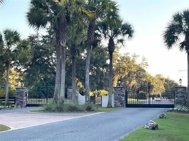 0 NW 145th Ave Lot 25, Williston, FL 32696 - photo 5