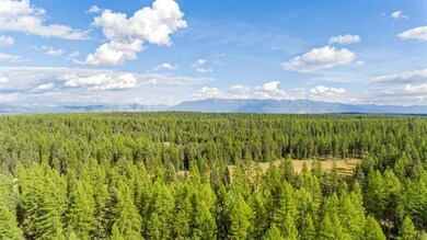04_WhitefishRanchCourt_181003_AerialView