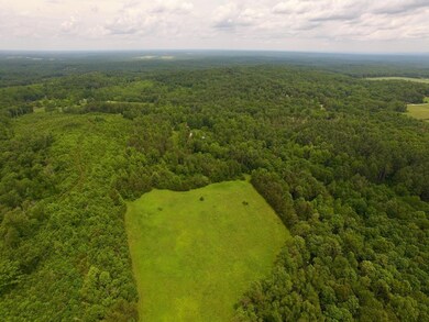 DJI_0080