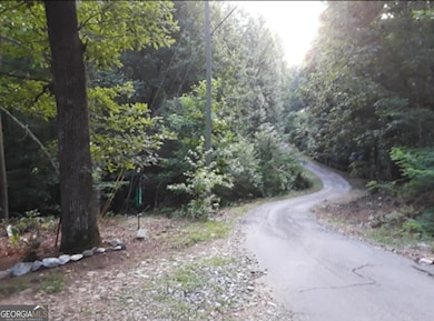 0 Pink Mountain Blvd unit 10649650, Cleveland, GA 30528 - photo 5