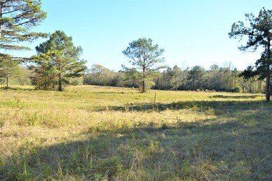 ... Pike 93 Central, McComb, MS 39648 - photo 4