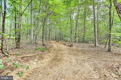 00 Pheasant Rd, West Hanover Township, PA 17112 - photo 7