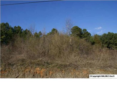 25 Spring Ave, Gadsden, AL 35901 - photo 2