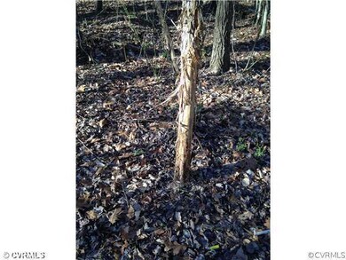 XX Mount Moriah Rd, Powhatan, VA 23139 - photo 6