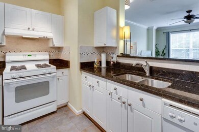 11319 Aristotle Dr unit 305, Fairfax, VA 22030 - photo 6