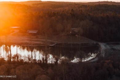 cypress run pics -4