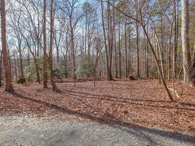 399 Bent Tree, Pittsboro, NC 27312 - photo 6