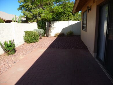 Back yard
