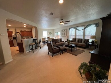 24502 Elise Falls, San Antonio, TX 78255 - photo 7