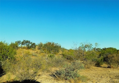 TBD County Road 131, Brownwood, TX 76801 - photo 2