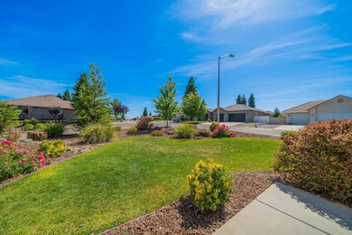 front landscaping