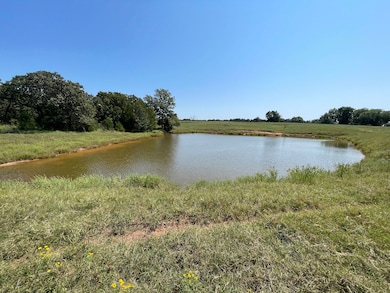 27673 S 449th West Ave, Depew, OK 74028 - photo 5