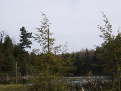 View from end of pond