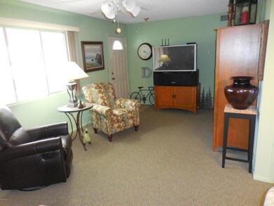 9929 W Camden Ave, Sun City, AZ 85351 - photo 4