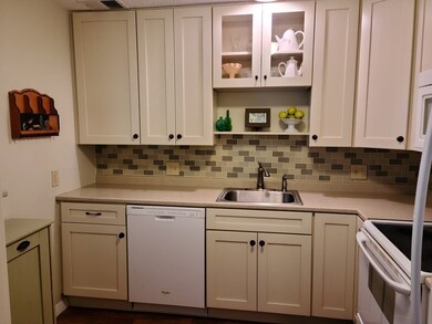 1029 Pleasant St unit 38, Worcester, MA 01602 - photo 4