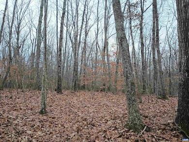 0 Axtell Rd unit 671721, Scottsville, VA 24590 - photo 5