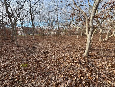 36 Boylston Dr, Edgartown, MA 02539 - photo 5