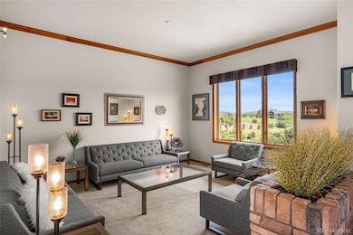 2561 Marlin Way, Castle Rock, CO 80109 - photo 7