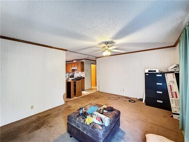 photos from double wide