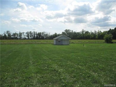 Yard/Garden.
