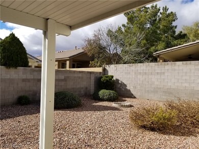 Backyard view from house