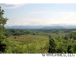 9 Silver Spoon Dr, Leicester, NC 28748 - photo 6